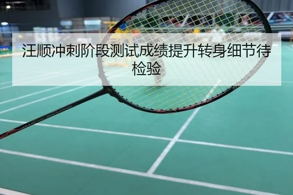 汪顺冲刺阶段测试成绩提升转身细节待检验
